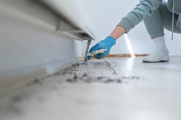 Best Pest Control for Restaurants  in Yermo, CA